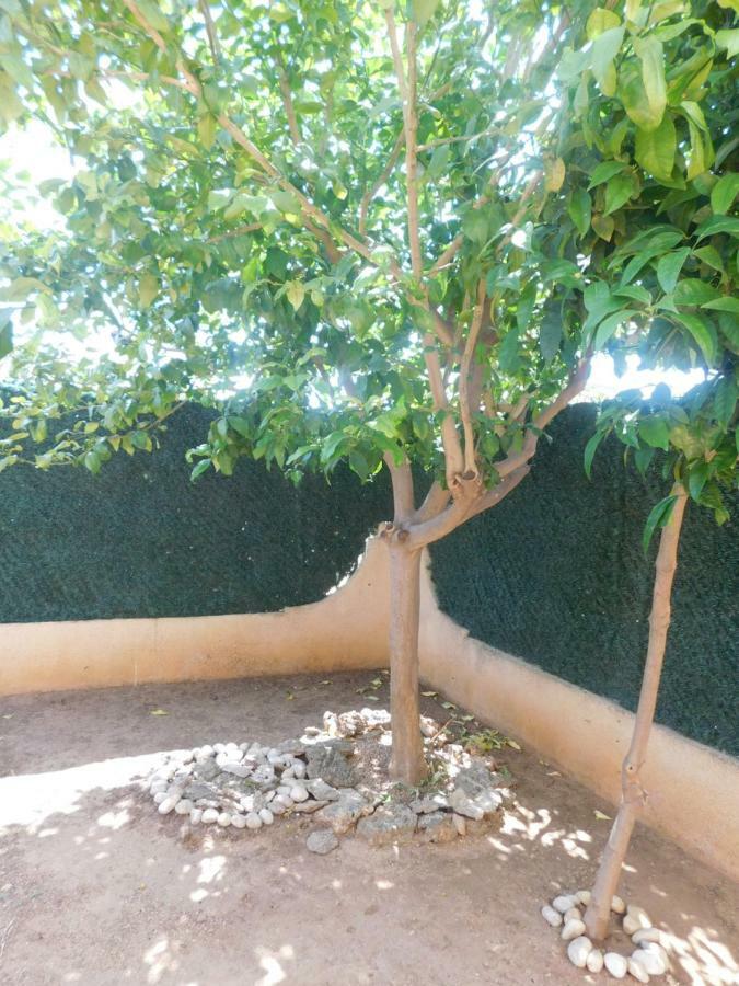 Molinos-turistika Appartement